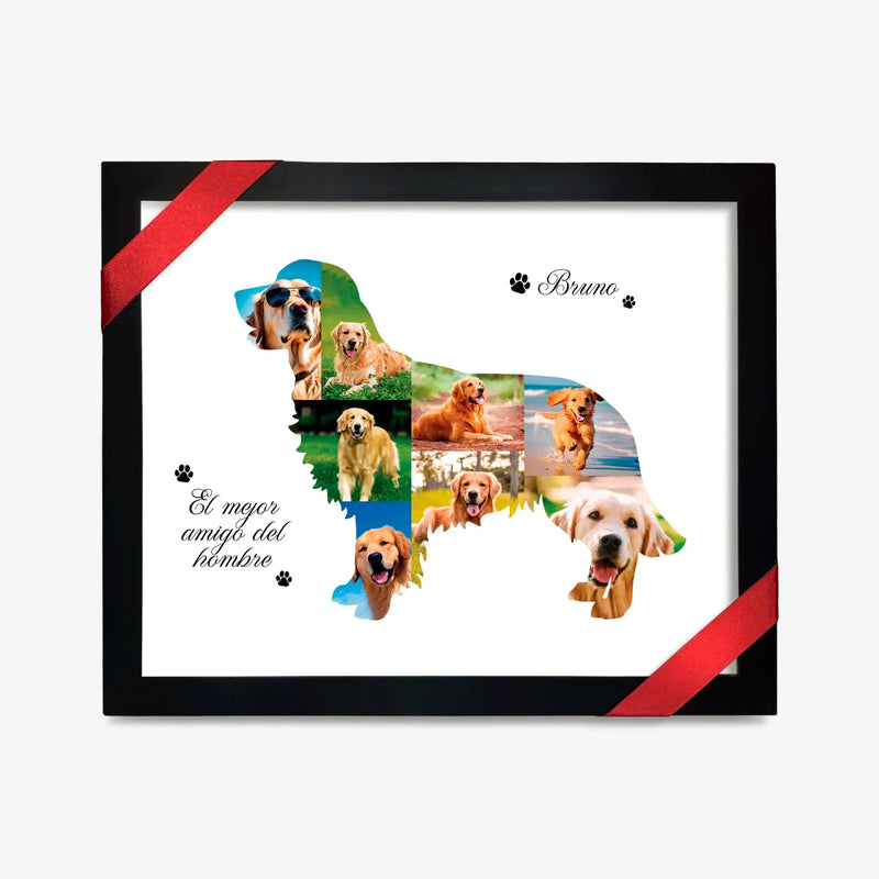 Bruno, El Mejor Amigo