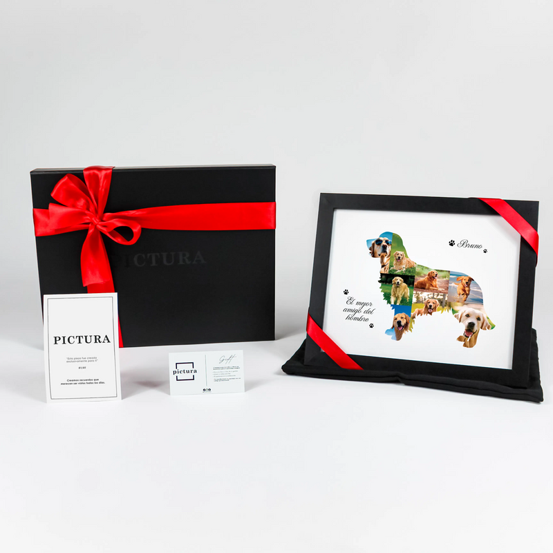 Bruno, El Mejor Amigo