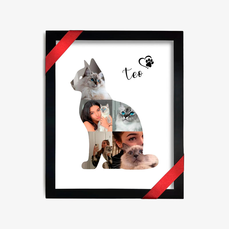 Teo el Gato