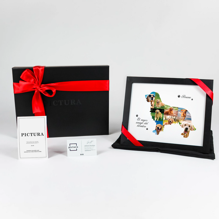 Bruno, El Mejor Amigo